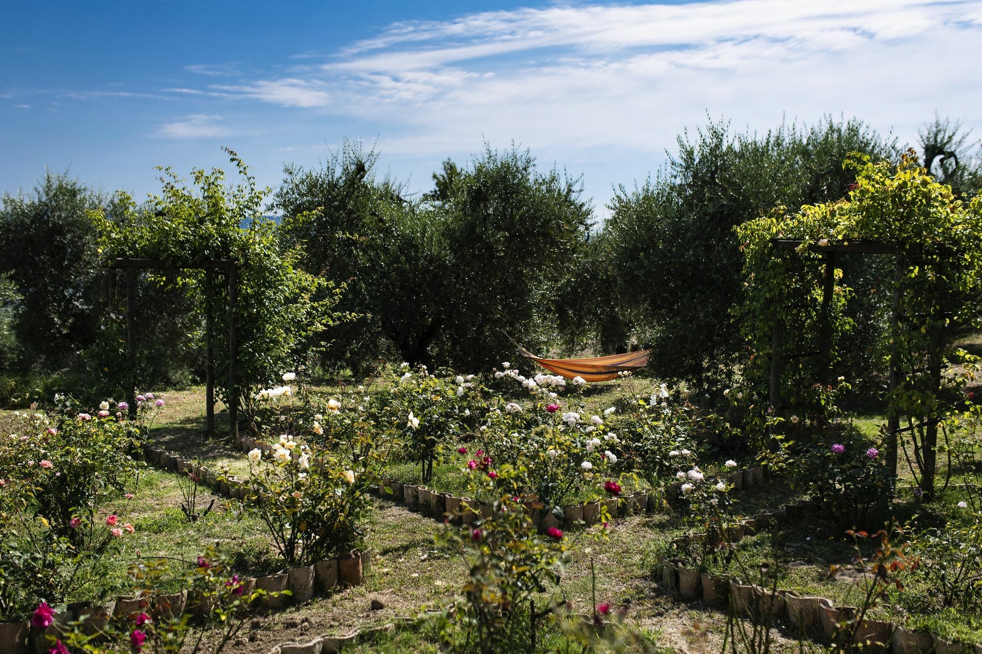 Orvieto Aroma Rooms 2 Exterior foto
